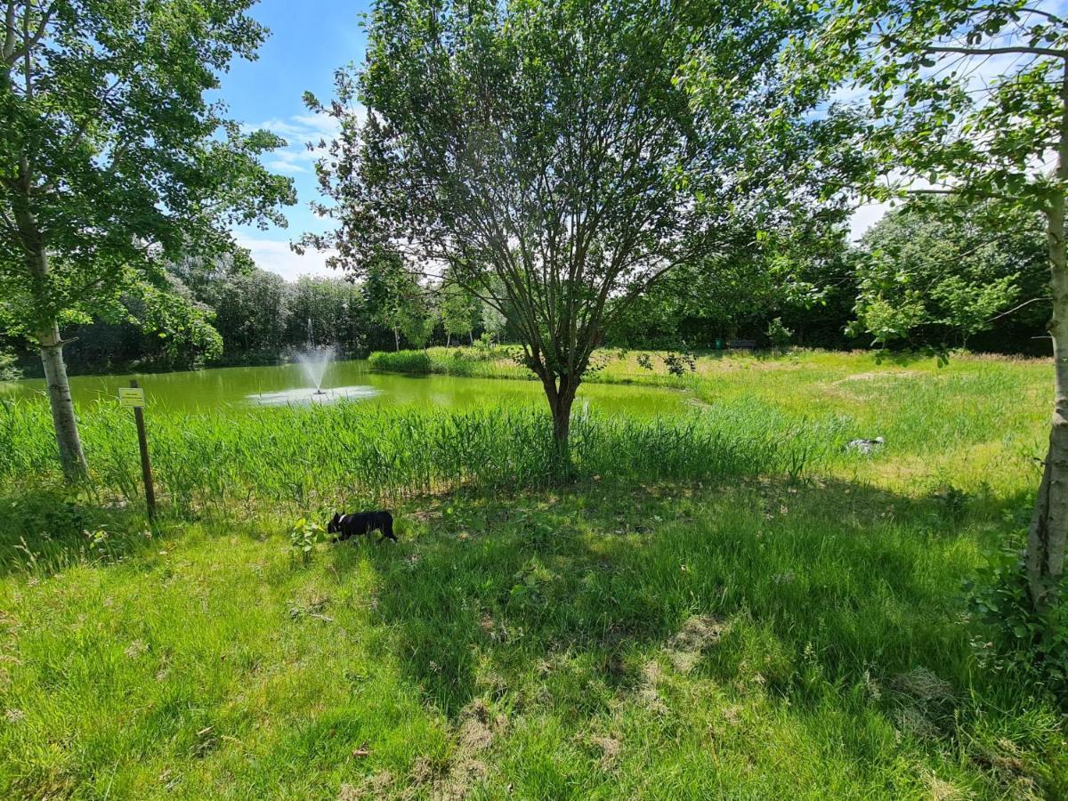 Lias Ferienhaus Geeste Dış mekan fotoğraf